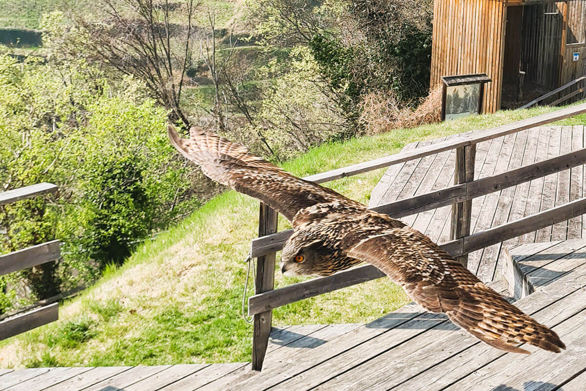 Unterwegs mit Tante Lisa