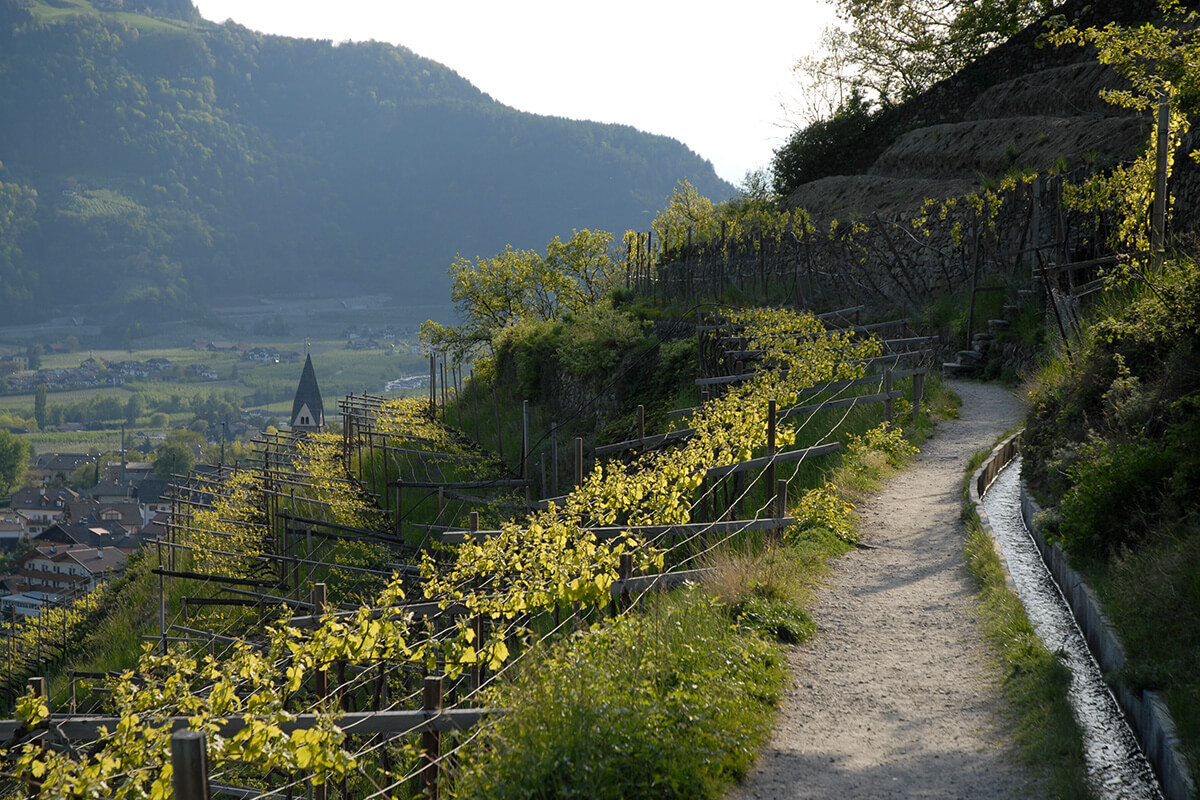 Sentiero delle rogge