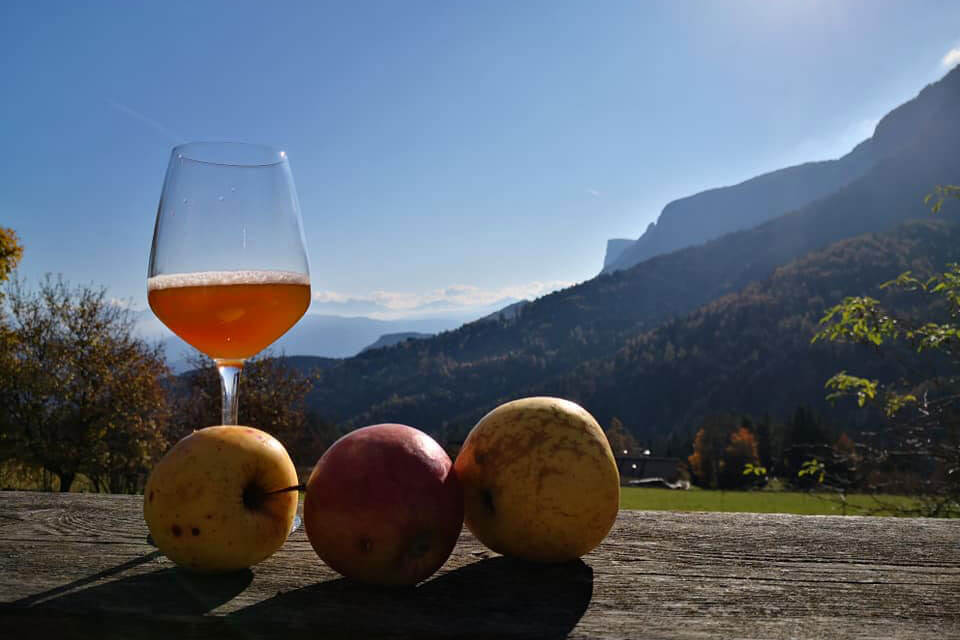 Rainguthof - succo di mela - Hotel Lisetta
