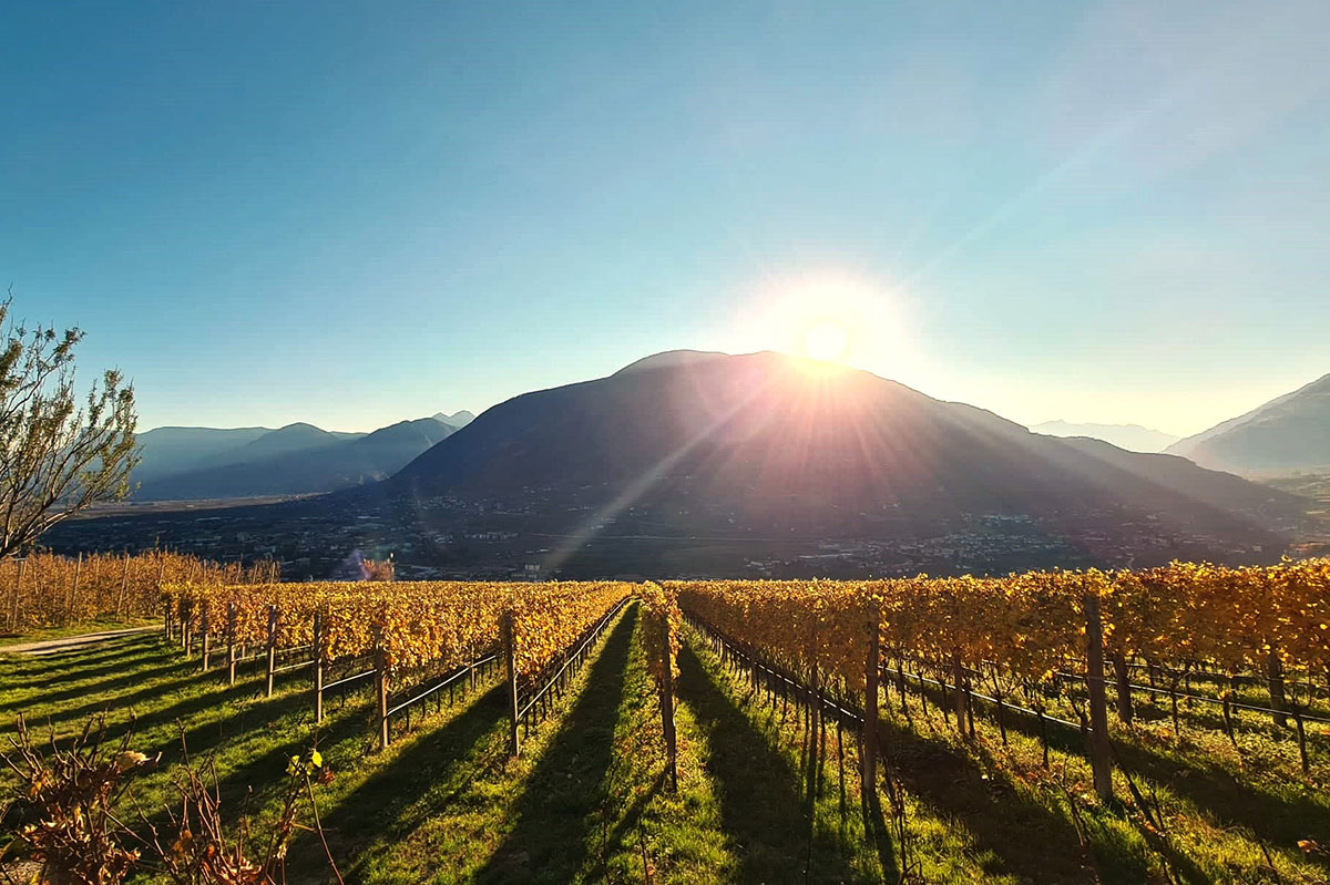 Törggelezeit - Erleben - Stories - Herbst in Dorf Tirol - Hotel Lisetta
