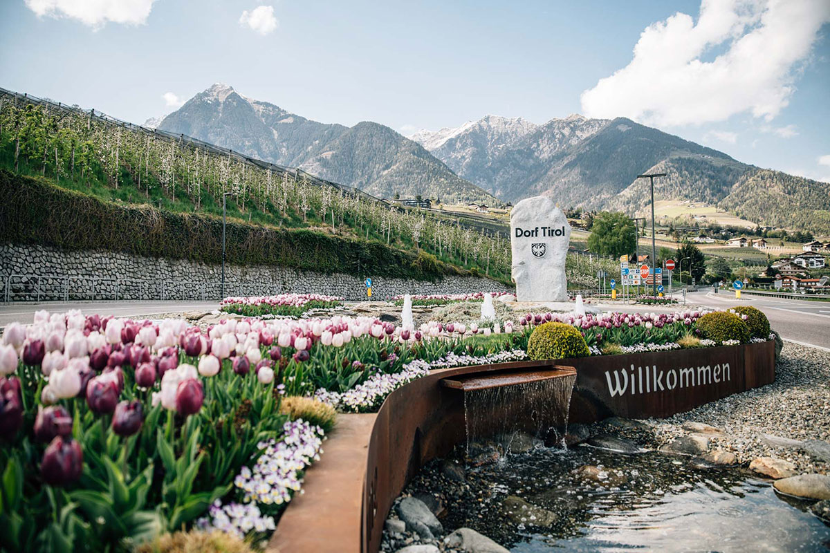 Blumenwiese in Frühling im Dorf Tirol - Hotel Lisetta