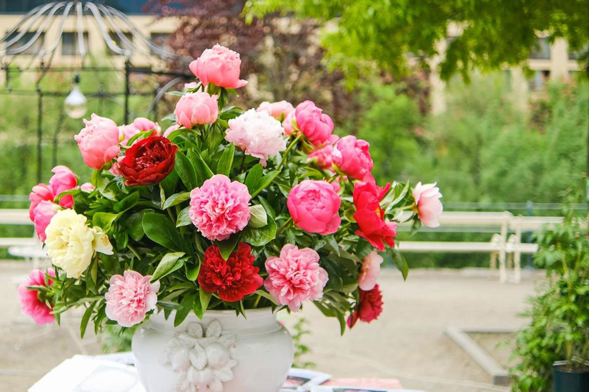 Alles blüht auf ... 