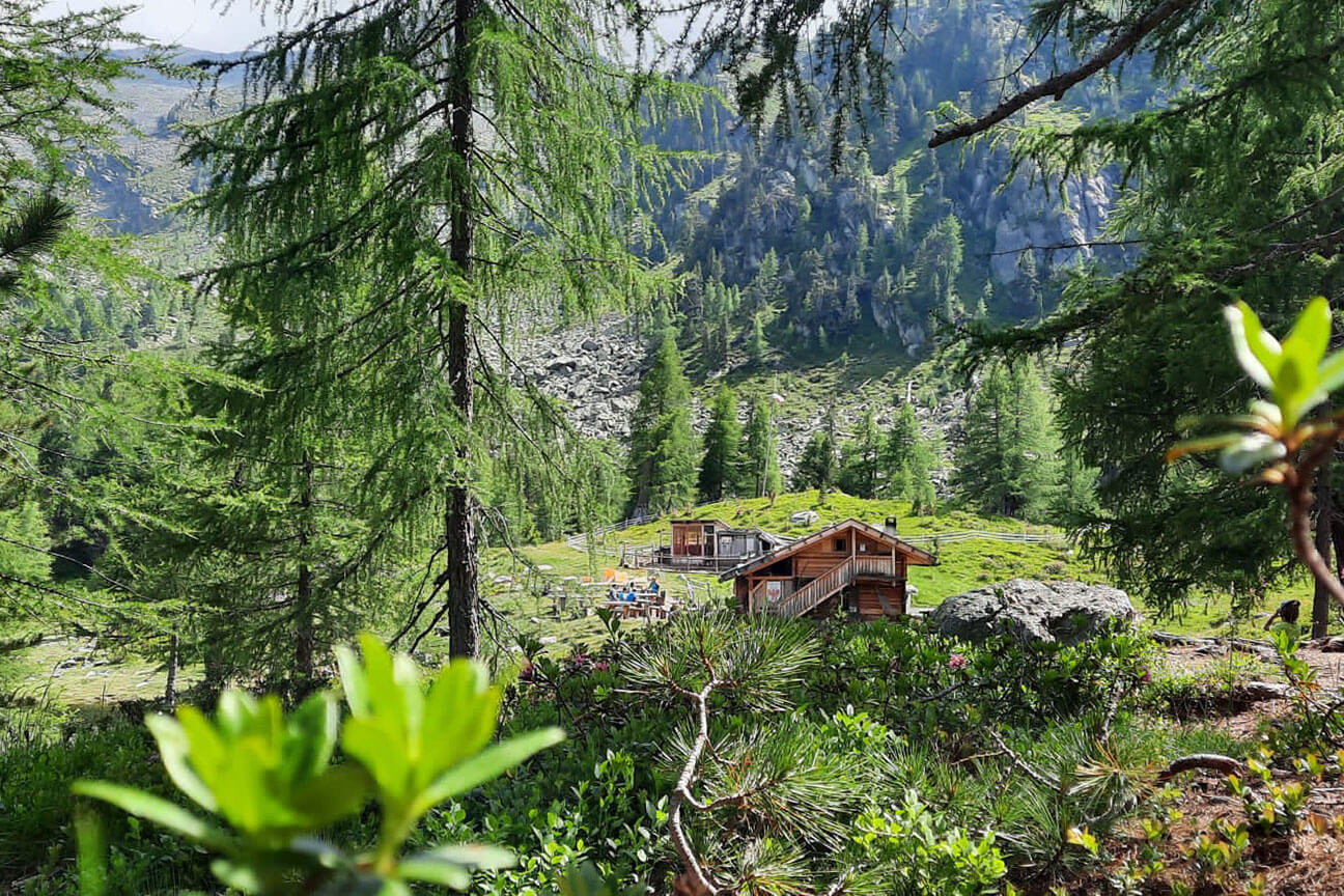 Die Zirmtal Alm im Vinschgau 