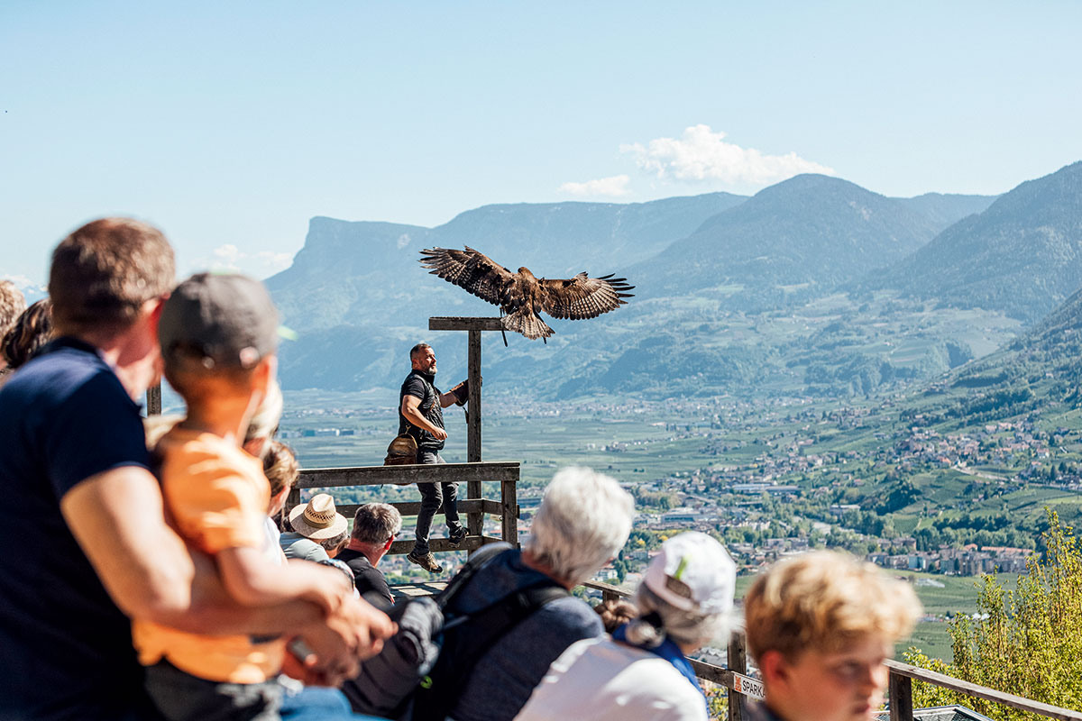 Felicità in famiglia