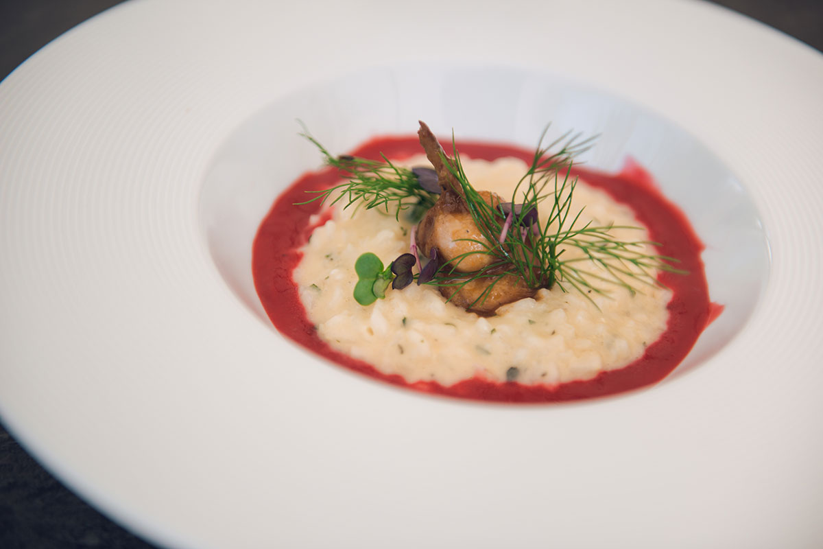 Genuss am Werk - Kulinarik - Gericht mit Fisch - Hotel Lisetta
