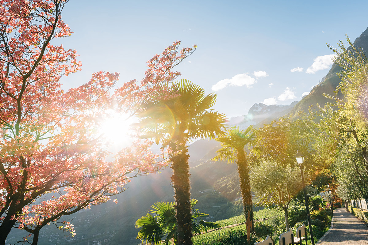 #LisettaLOVES Long Stay in Spring