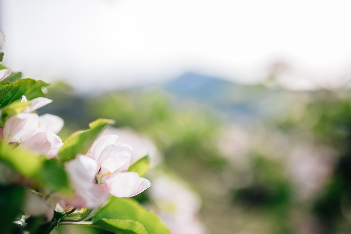 #LisettaLOVES Spring Vibes